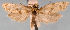  ( - JWB-08-0174)  @13 [ ] CreativeCommons - Attribution (2010) Unspecified Centre for Biodiversity Genomics