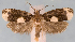  ( - JWB-08-0190)  @13 [ ] CreativeCommons - Attribution (2010) Unspecified Centre for Biodiversity Genomics