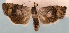  ( - JWB-08-0209)  @13 [ ] CreativeCommons - Attribution (2010) Unspecified Centre for Biodiversity Genomics