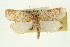 ( - 09-JBTOR-0335)  @14 [ ] CreativeCommons - Attribution (2009) Unspecified Centre for Biodiversity Genomics