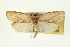  ( - 09-JBTOR-0337)  @13 [ ] CreativeCommons - Attribution (2009) Unspecified Centre for Biodiversity Genomics