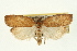  ( - 09-JBTOR-0339)  @14 [ ] CreativeCommons - Attribution (2009) Unspecified Centre for Biodiversity Genomics