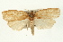  ( - 09-JBTOR-0341)  @14 [ ] CreativeCommons - Attribution (2009) Unspecified Centre for Biodiversity Genomics