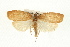  ( - 09-JBTOR-0342)  @14 [ ] CreativeCommons - Attribution (2009) Unspecified Centre for Biodiversity Genomics