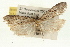  ( - 09-JBTOR-0366)  @11 [ ] CreativeCommons - Attribution (2009) Unspecified Centre for Biodiversity Genomics