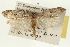  ( - 09-JBTOR-0367)  @11 [ ] CreativeCommons - Attribution (2009) Unspecified Centre for Biodiversity Genomics