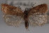  ( - 09-JBTOR-0370)  @12 [ ] CreativeCommons - Attribution (2010) Unspecified Centre for Biodiversity Genomics