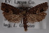  ( - 09-JBTOR-0465)  @13 [ ] CreativeCommons - Attribution (2010) Unspecified Centre for Biodiversity Genomics