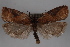  ( - 09-JBTOR-0371)  @12 [ ] CreativeCommons - Attribution (2010) Unspecified Centre for Biodiversity Genomics