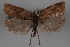  ( - 09-JBTOR-0372)  @12 [ ] CreativeCommons - Attribution (2010) Unspecified Centre for Biodiversity Genomics