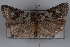  ( - 09-JBTOR-0373)  @13 [ ] CreativeCommons - Attribution (2010) Unspecified Centre for Biodiversity Genomics