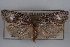  ( - 09-JBTOR-0375)  @13 [ ] CreativeCommons - Attribution (2010) Unspecified Centre for Biodiversity Genomics