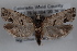  ( - 09-JBTOR-0567)  @13 [ ] CreativeCommons - Attribution (2010) Unspecified Centre for Biodiversity Genomics