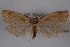  ( - 09-JBTOR-0758)  @12 [ ] CreativeCommons - Attribution (2010) Unspecified Centre for Biodiversity Genomics