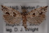  ( - 09-JBTOR-0571)  @14 [ ] CreativeCommons - Attribution (2010) Unspecified Centre for Biodiversity Genomics