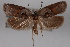  ( - 09-JBTOR-0386)  @11 [ ] CreativeCommons - Attribution (2010) Unspecified Centre for Biodiversity Genomics