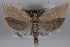  ( - 09-JBTOR-0581)  @13 [ ] CreativeCommons - Attribution (2010) Unspecified Centre for Biodiversity Genomics