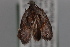  ( - 09-JBTOR-0774)  @12 [ ] CreativeCommons - Attribution (2010) Unspecified Centre for Biodiversity Genomics
