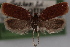  ( - 09-JBTOR-0395)  @12 [ ] CreativeCommons - Attribution (2010) Unspecified Centre for Biodiversity Genomics