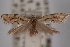  ( - 09-JBTOR-0397)  @13 [ ] CreativeCommons - Attribution (2010) Unspecified Centre for Biodiversity Genomics