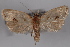  ( - 09-JBTOR-0401)  @13 [ ] CreativeCommons - Attribution (2010) Unspecified Centre for Biodiversity Genomics