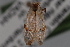  ( - 09-JBTOR-0781)  @12 [ ] CreativeCommons - Attribution (2010) Unspecified Centre for Biodiversity Genomics