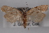  ( - 09-JBTOR-0402)  @14 [ ] CreativeCommons - Attribution (2010) Unspecified Centre for Biodiversity Genomics