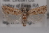  ( - 09-JBTOR-0592)  @13 [ ] CreativeCommons - Attribution (2010) Unspecified Centre for Biodiversity Genomics