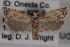  ( - 09-JBTOR-0593)  @13 [ ] CreativeCommons - Attribution (2010) Unspecified Centre for Biodiversity Genomics