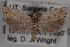  ( - 09-JBTOR-0594)  @14 [ ] CreativeCommons - Attribution (2010) Unspecified Centre for Biodiversity Genomics