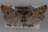  ( - 09-JBTOR-0598)  @13 [ ] CreativeCommons - Attribution (2010) Unspecified Centre for Biodiversity Genomics