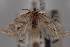  ( - 09-JBTOR-0409)  @13 [ ] CreativeCommons - Attribution (2010) Unspecified Centre for Biodiversity Genomics