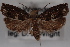  ( - 09-JBTOR-0505)  @13 [ ] CreativeCommons - Attribution (2010) Unspecified Centre for Biodiversity Genomics