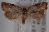  ( - 09-JBTOR-0792)  @11 [ ] CreativeCommons - Attribution (2010) Unspecified Centre for Biodiversity Genomics
