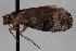  ( - 09-JBTOR-0700)  @13 [ ] CreativeCommons - Attribution (2010) Unspecified Centre for Biodiversity Genomics