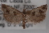  ( - 09-JBTOR-0606)  @13 [ ] CreativeCommons - Attribution (2010) Unspecified Centre for Biodiversity Genomics