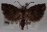  ( - 09-JBTOR-0512)  @12 [ ] CreativeCommons - Attribution (2010) Unspecified Centre for Biodiversity Genomics