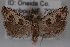  ( - 09-JBTOR-0607)  @14 [ ] CreativeCommons - Attribution (2010) Unspecified Centre for Biodiversity Genomics