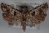  ( - 09-JBTOR-0608)  @14 [ ] CreativeCommons - Attribution (2010) Unspecified Centre for Biodiversity Genomics