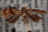  ( - 09-JBTOR-0419)  @11 [ ] CreativeCommons - Attribution (2010) Unspecified Centre for Biodiversity Genomics