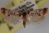  ( - 09-JBTOR-0704)  @11 [ ] CreativeCommons - Attribution (2010) Unspecified Centre for Biodiversity Genomics