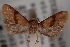  ( - 09-JBTOR-0420)  @11 [ ] CreativeCommons - Attribution (2010) Unspecified Centre for Biodiversity Genomics