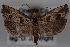  ( - 09-JBTOR-0610)  @13 [ ] CreativeCommons - Attribution (2010) Unspecified Centre for Biodiversity Genomics