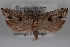  ( - 09-JBTOR-0611)  @13 [ ] CreativeCommons - Attribution (2010) Unspecified Centre for Biodiversity Genomics