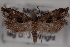  ( - 09-JBTOR-0613)  @13 [ ] CreativeCommons - Attribution (2010) Unspecified Centre for Biodiversity Genomics