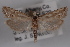  ( - 09-JBTOR-0519)  @12 [ ] CreativeCommons - Attribution (2010) Unspecified Centre for Biodiversity Genomics