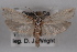  ( - 09-JBTOR-0520)  @13 [ ] CreativeCommons - Attribution (2010) Unspecified Centre for Biodiversity Genomics