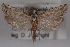  ( - 09-JBTOR-0521)  @13 [ ] CreativeCommons - Attribution (2010) Unspecified Centre for Biodiversity Genomics