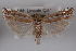  ( - 09-JBTOR-0536)  @13 [ ] CreativeCommons - Attribution (2010) Unspecified Centre for Biodiversity Genomics