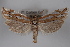  ( - 09-JBTOR-0537)  @14 [ ] CreativeCommons - Attribution (2010) Unspecified Centre for Biodiversity Genomics